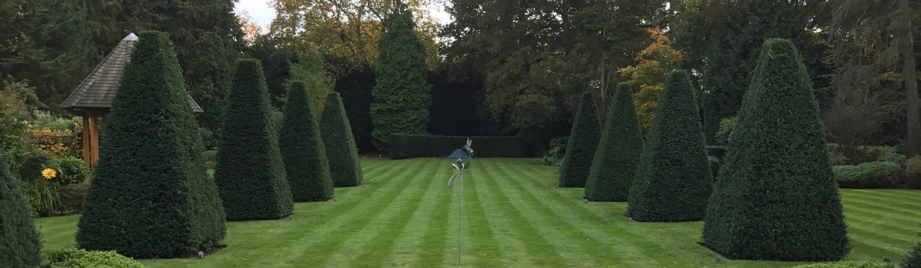 Landscape Gardeners Guildford